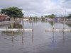 Bild zur Meldung Flutkatastrophe in Brasilien - Amare betroffen