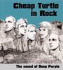 Bild zur Meldung Cheap Turtle am 22. November 08 im Kubana live Club